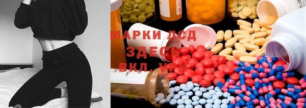 спиды Заводоуковск