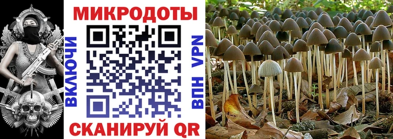 Купить  Кущёвская  Галлюциногенные грибы мухоморы 